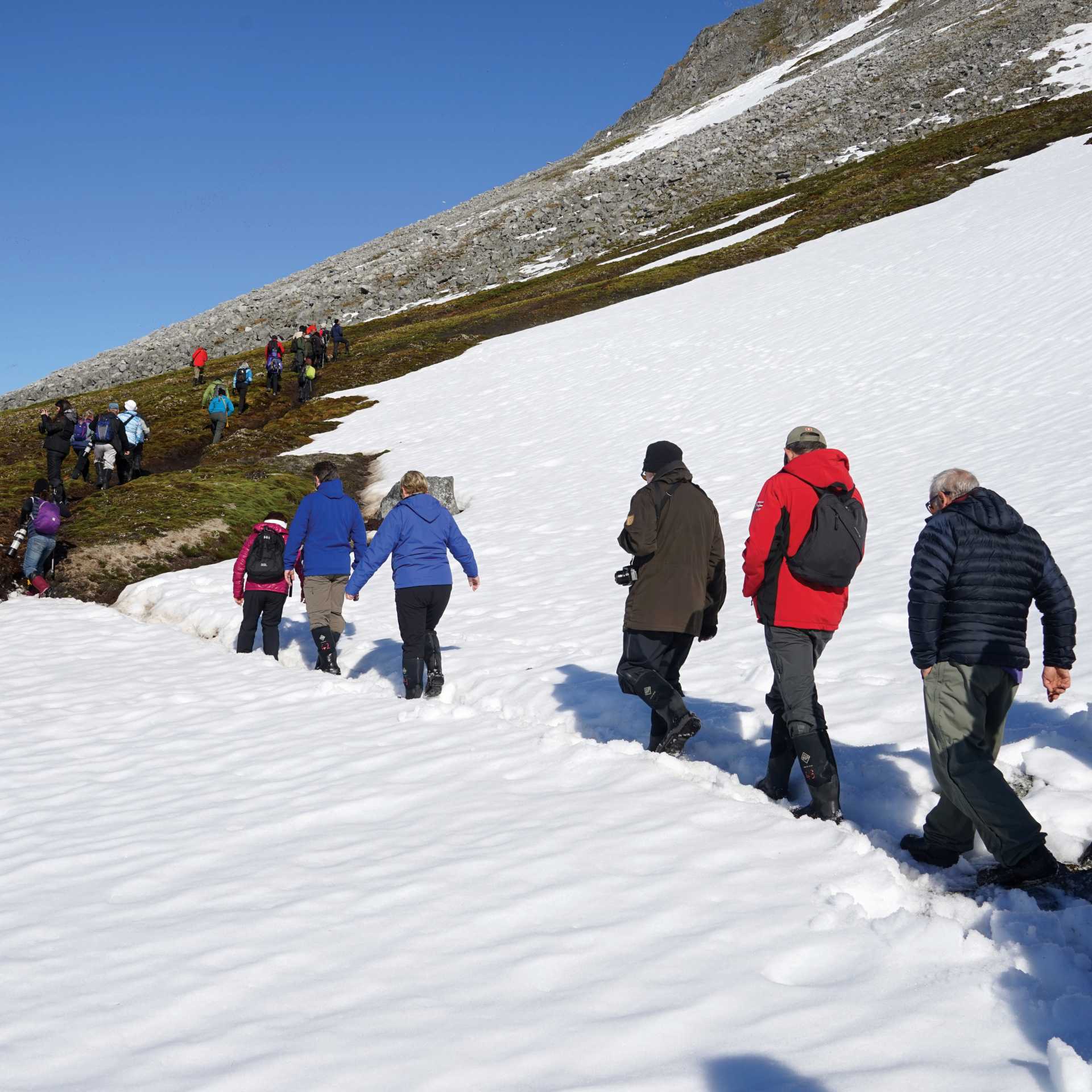 Walking to a Little Auks nesting spot in Svalbard | Gesine Cheung