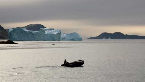 Zodiac cruising in the Arctic | Rachel Imber