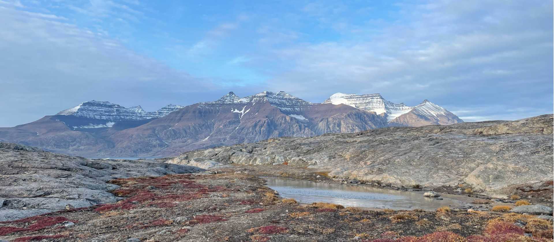 Arctic Tundra | Shawn Weller