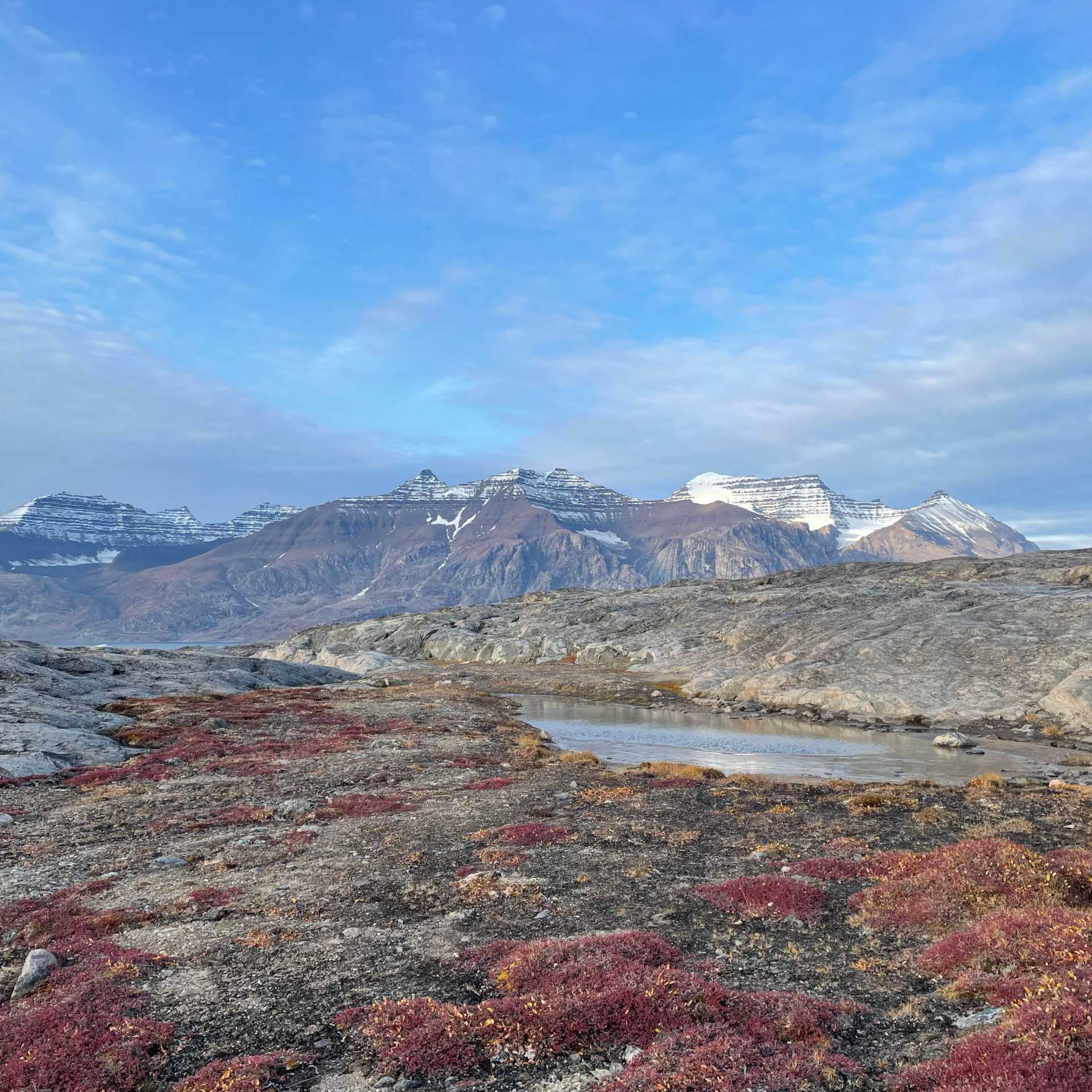 Arctic Tundra | Shawn Weller