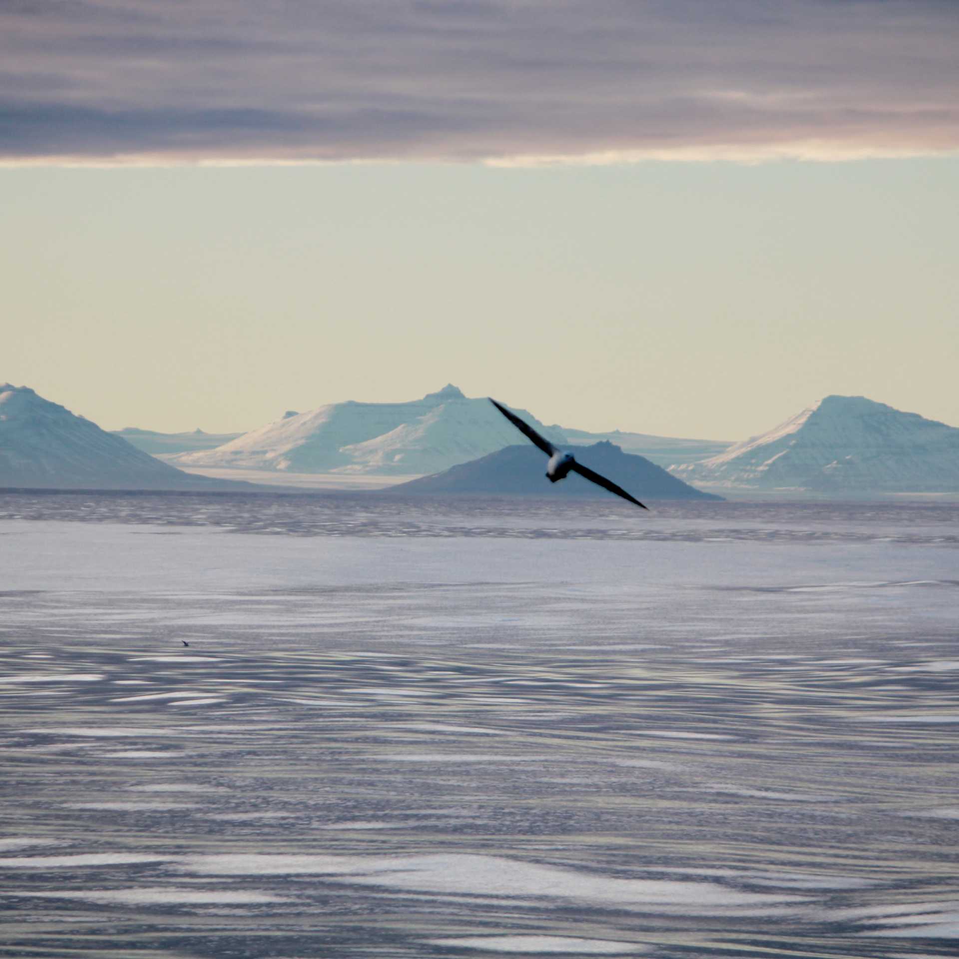 The spectacular east coast of Greenland | Rachel Imber