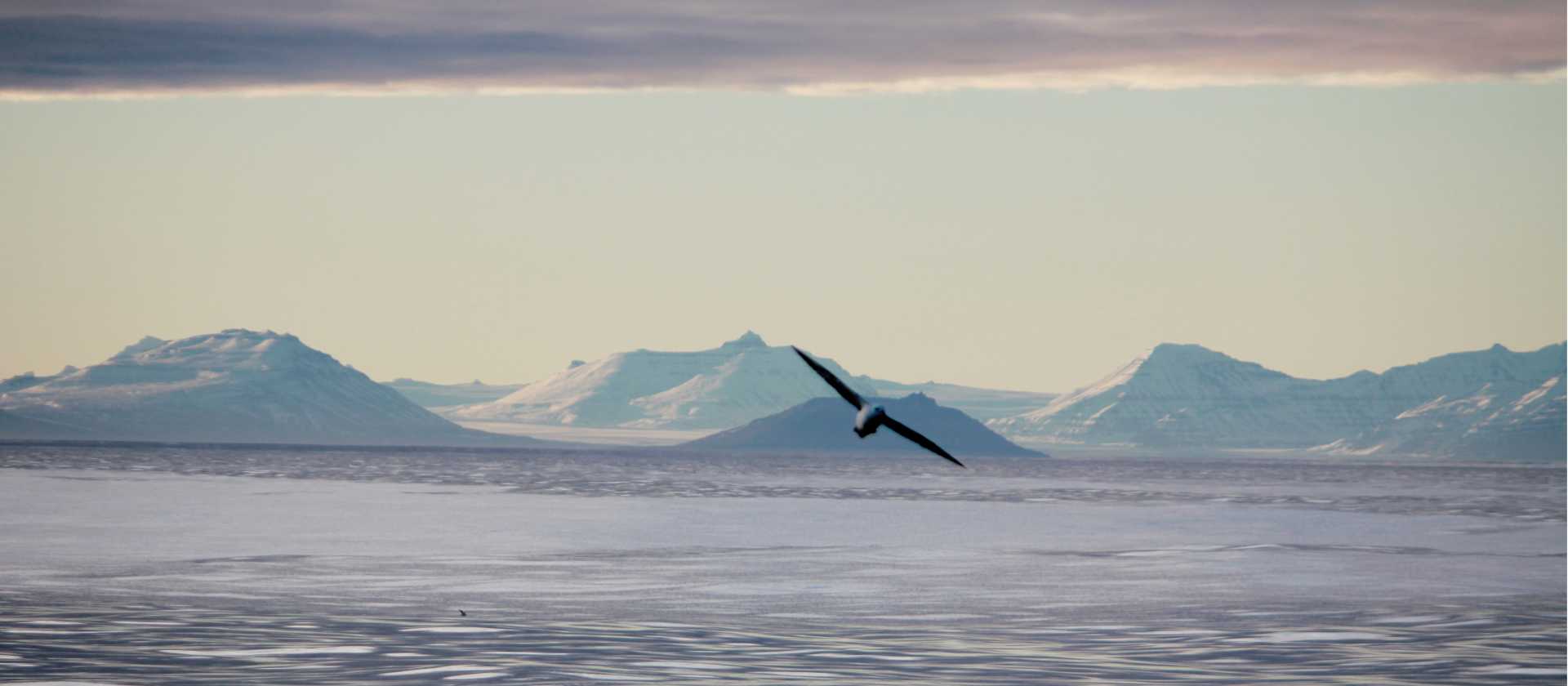 The spectacular east coast of Greenland | Rachel Imber