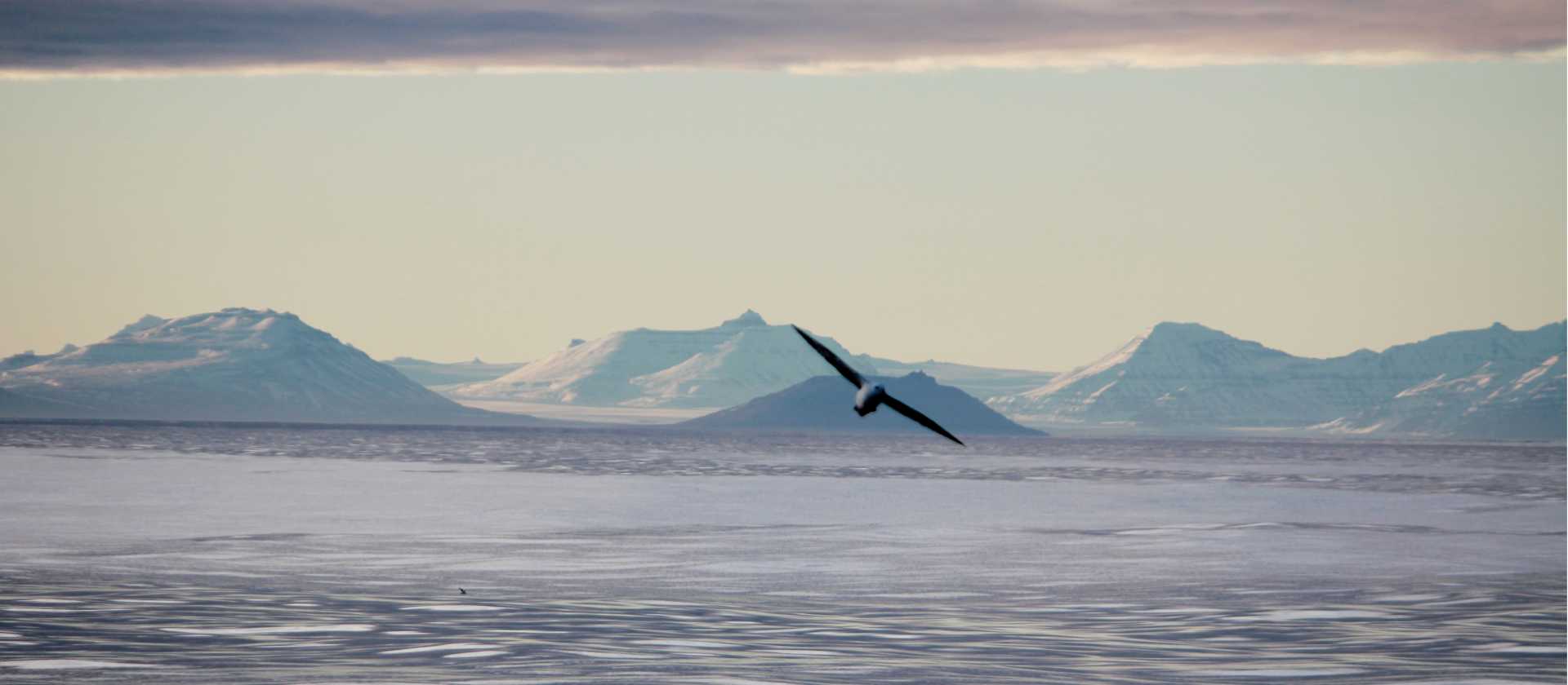 The spectacular east coast of Greenland | Rachel Imber
