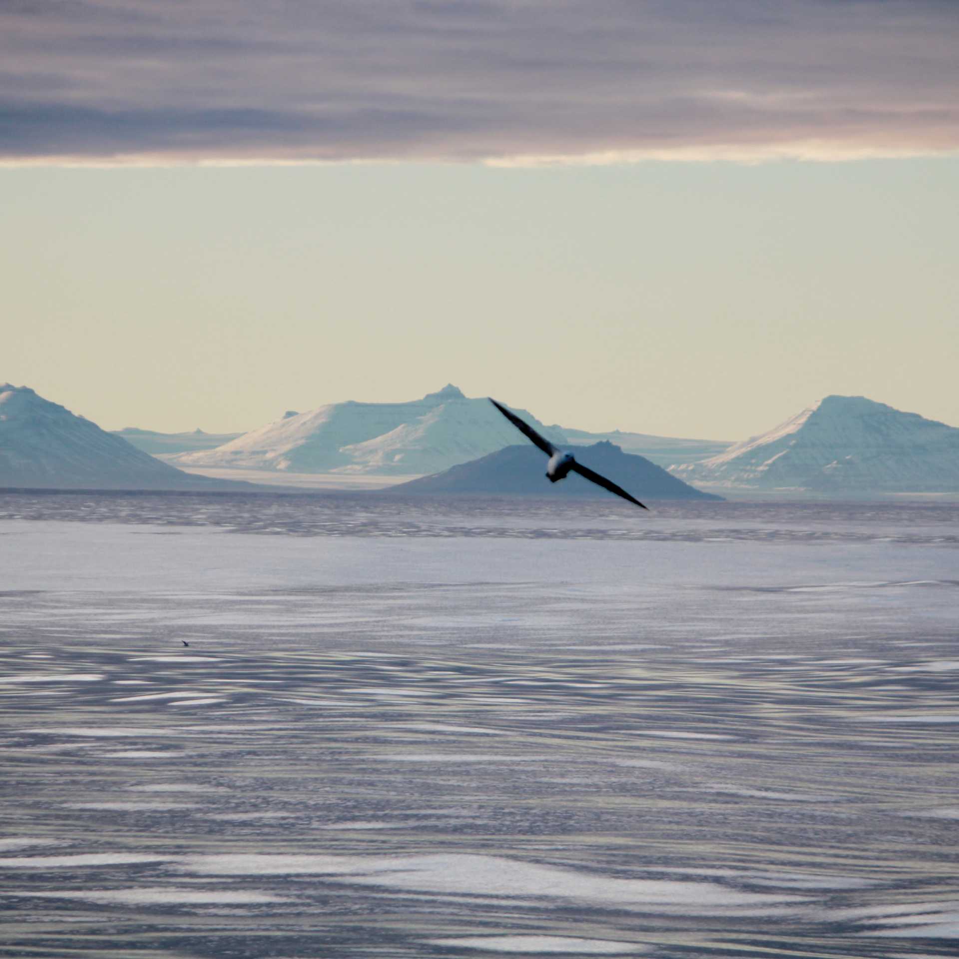 The spectacular east coast of Greenland | Rachel Imber