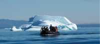 Zodiac cruising in Ilulissat | Rachel Imber