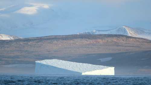The majestic beauty of Greenland | Rachel Imber