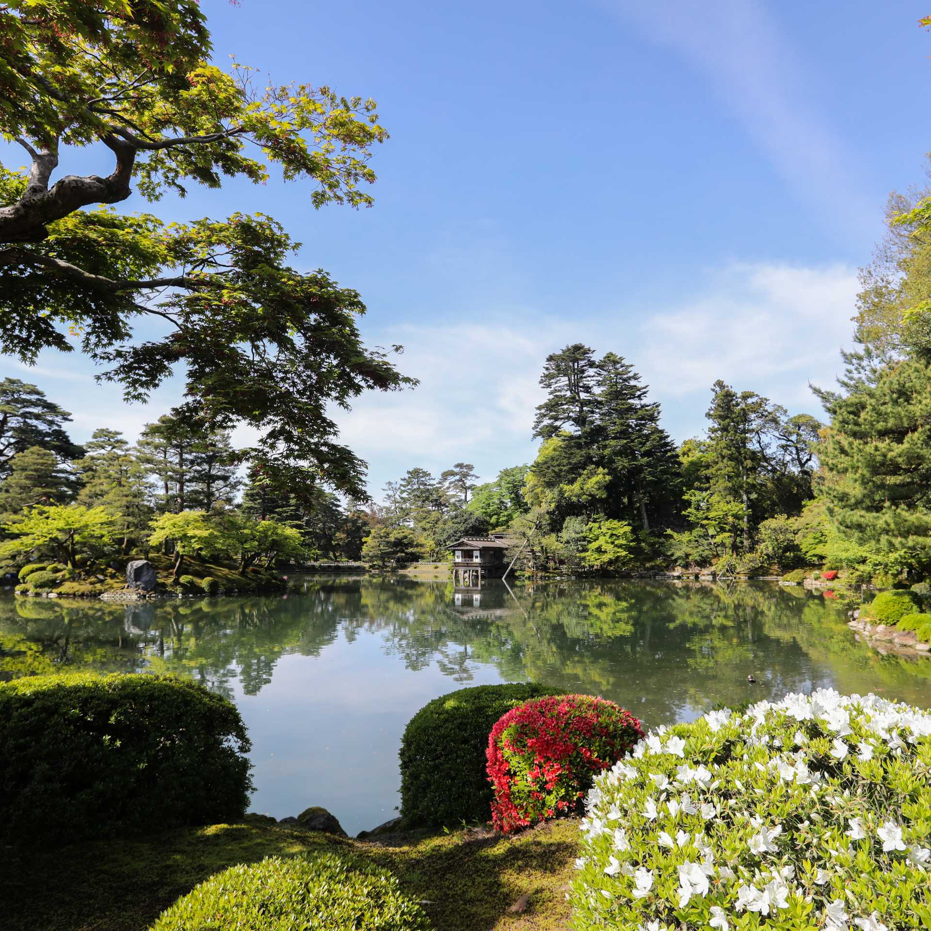 Kenrokuen Garden in Kanazawa | Cathy Finch