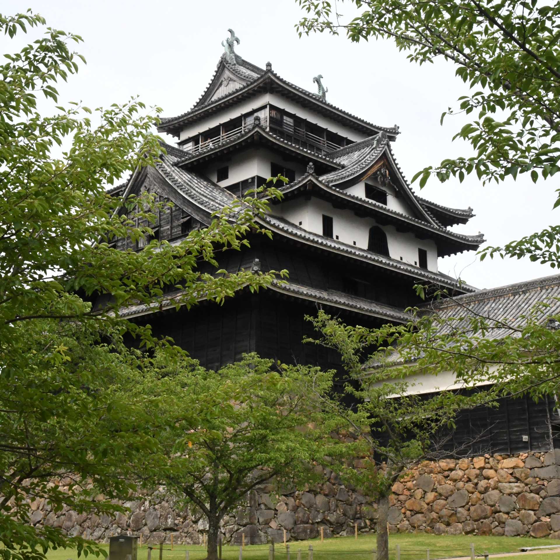 Matsue Castle, Japan | Aaron Russ