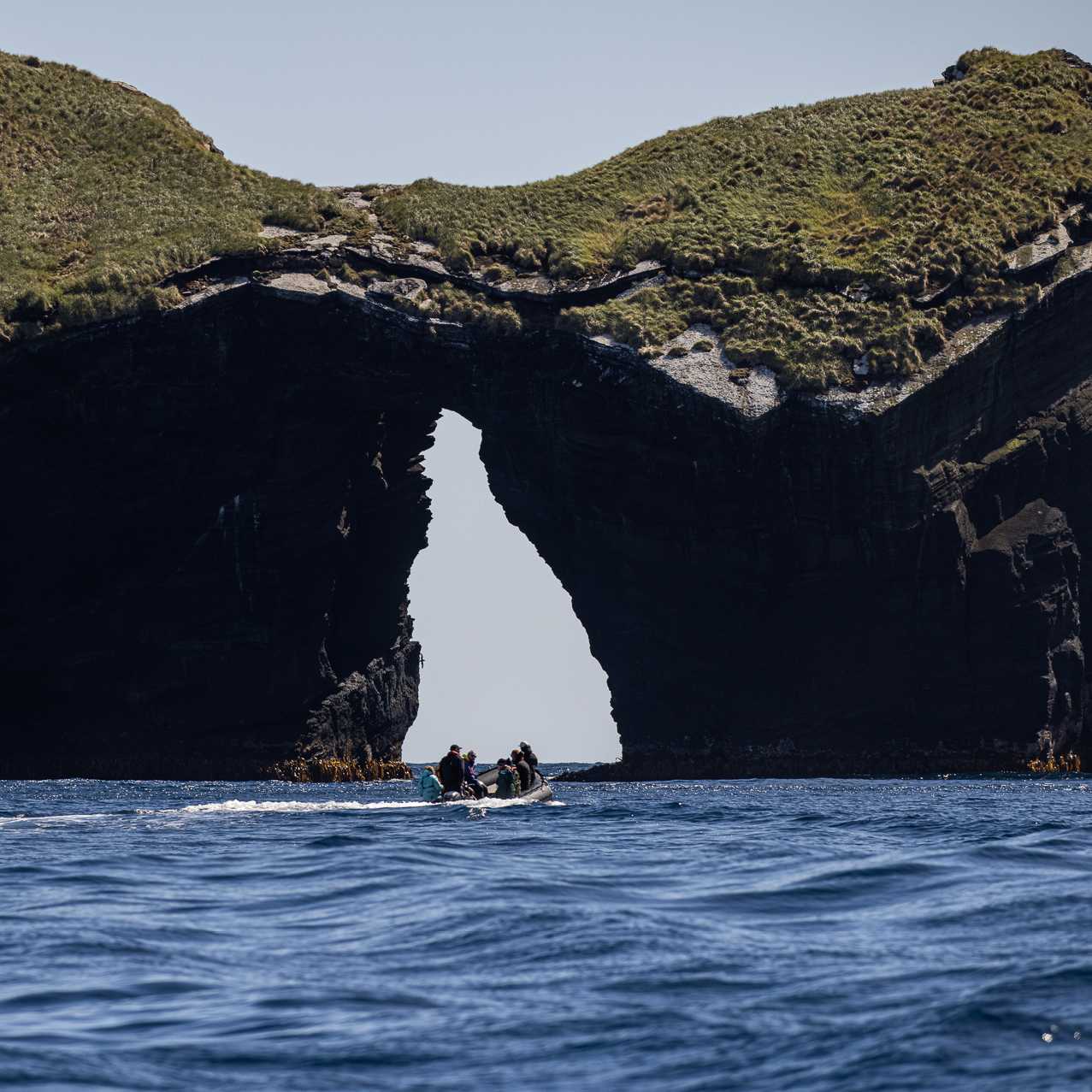 Zodiac cruising in the Antipodes Islands | A Woods