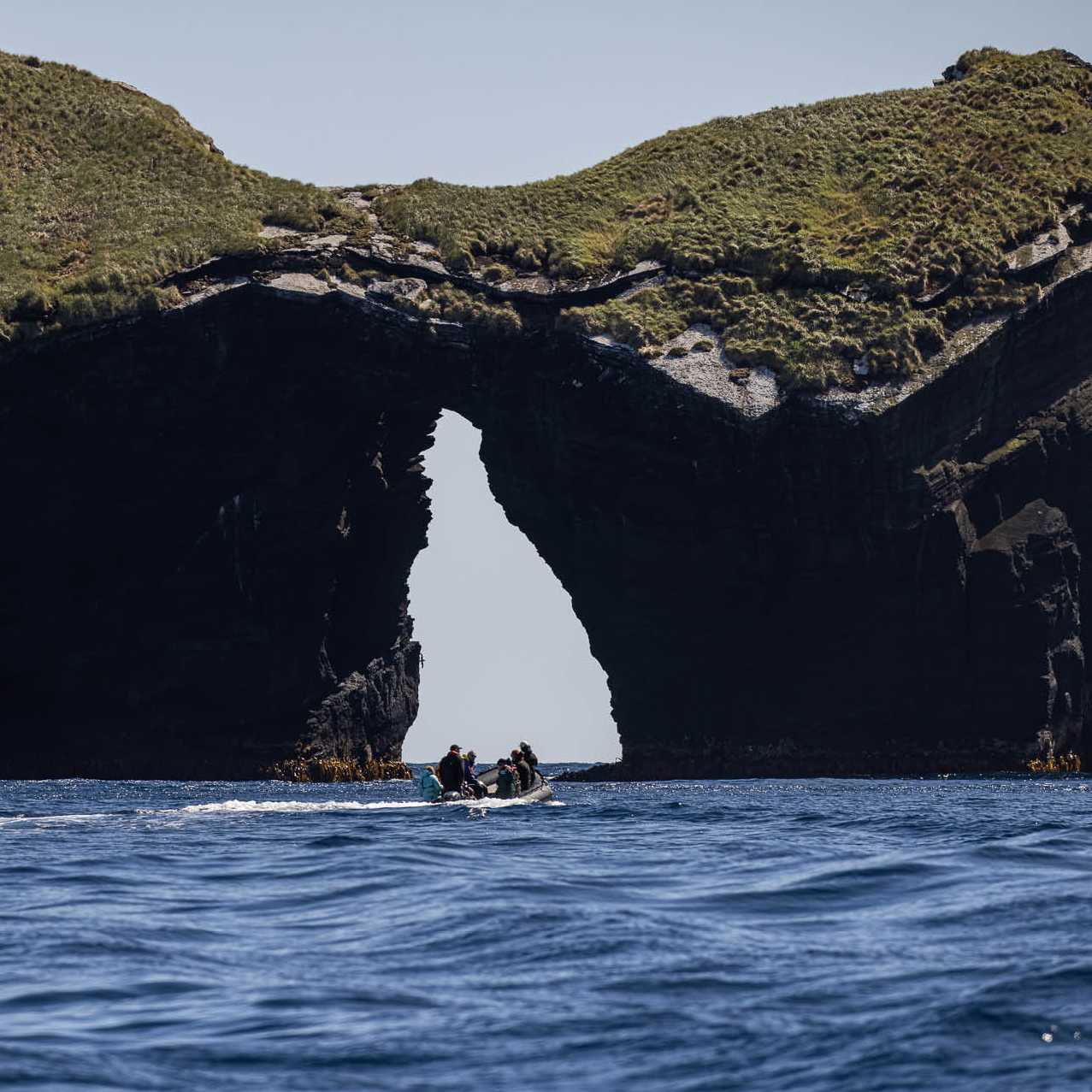 Zodiac cruising in the Antipodes Islands | A Woods
