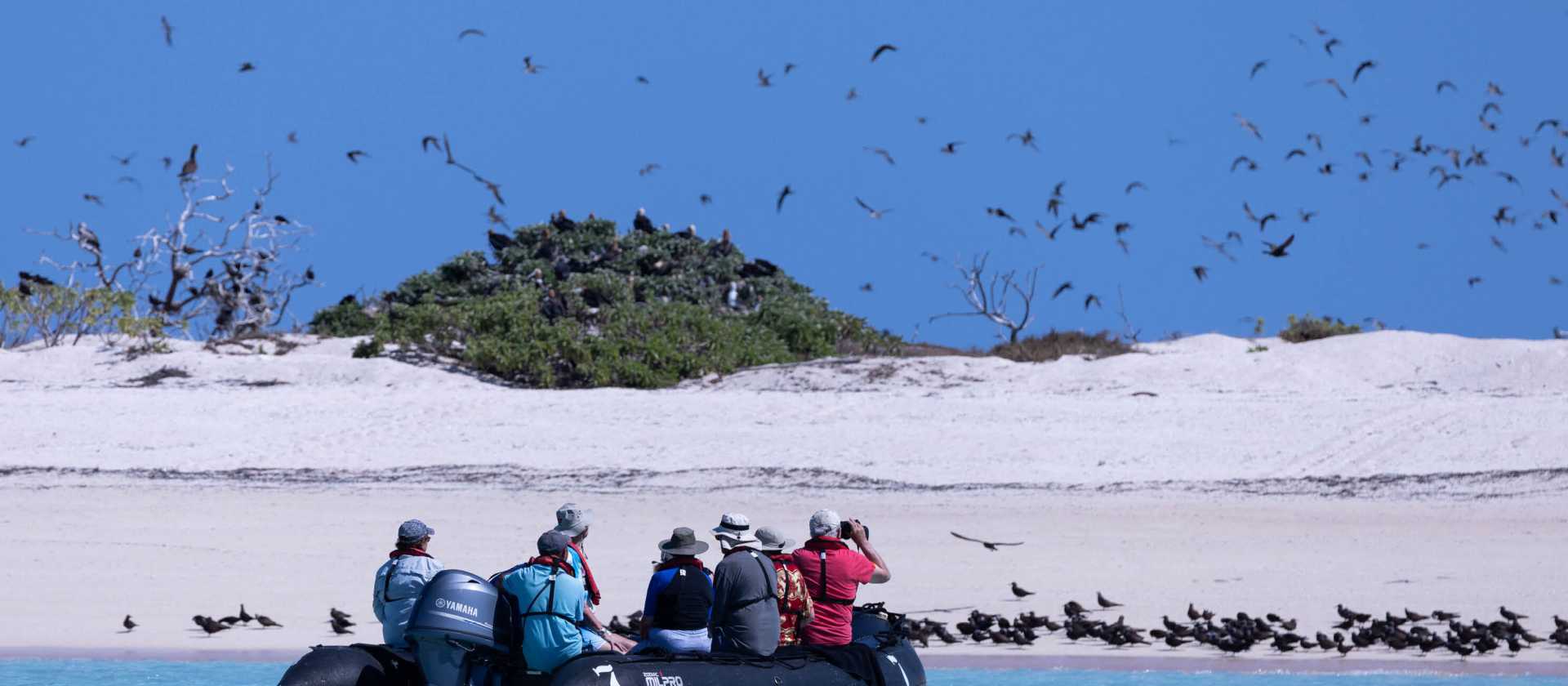 Zodiac cruising Ashmore Reef | C Finch