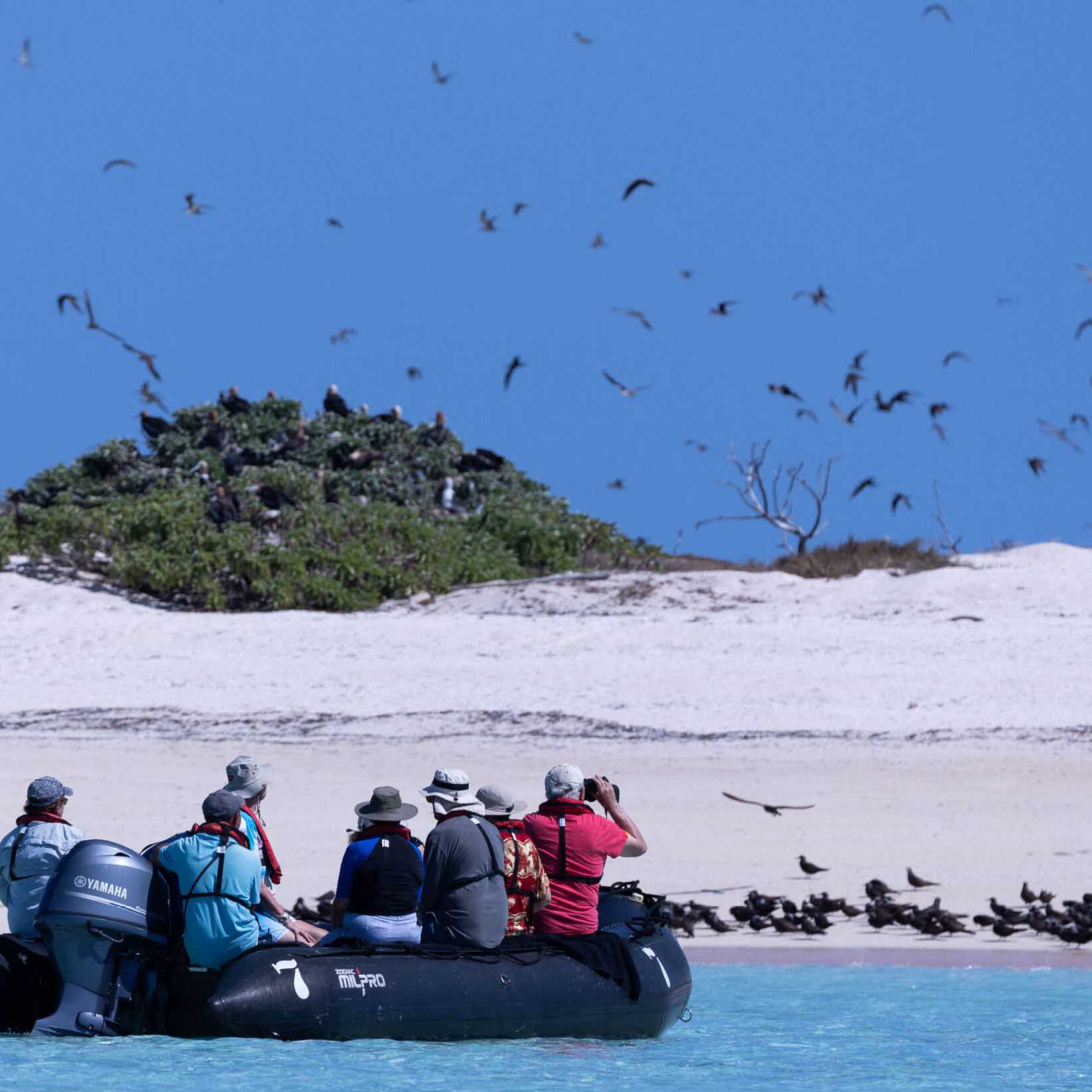 Zodiac cruising Ashmore Reef | C Finch