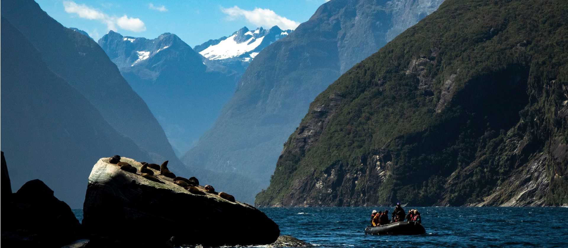 Zodiac cruising in Fiordland | Chris Todd