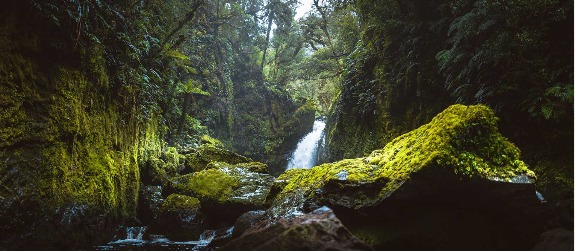 The beauty of Fiordland | Neville Porter