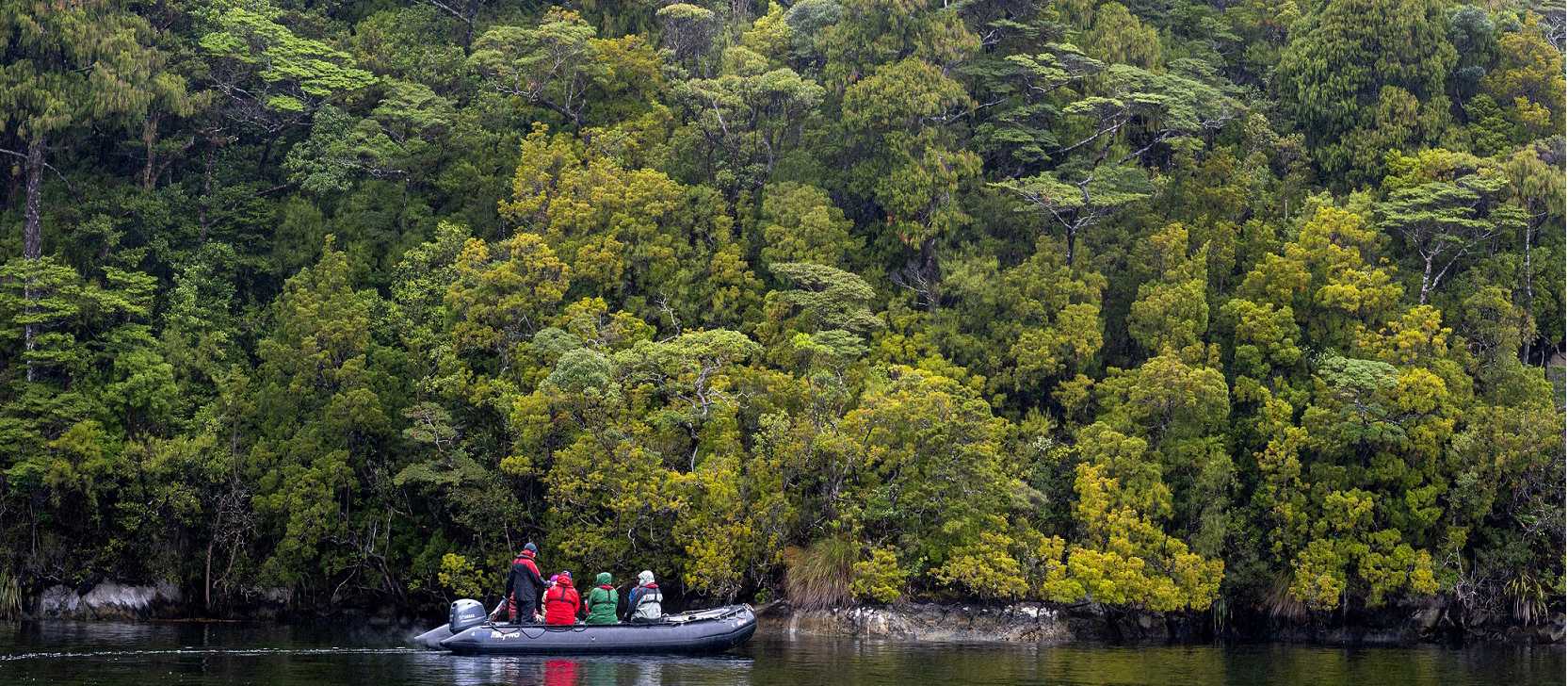 Exploring deep in Fiordland by zodiac | Steve Bradley