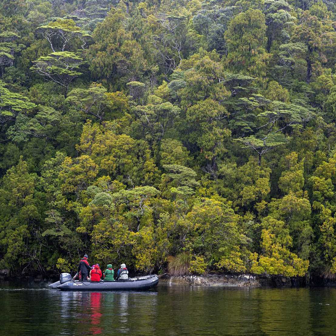 Exploring deep in Fiordland by zodiac | Steve Bradley