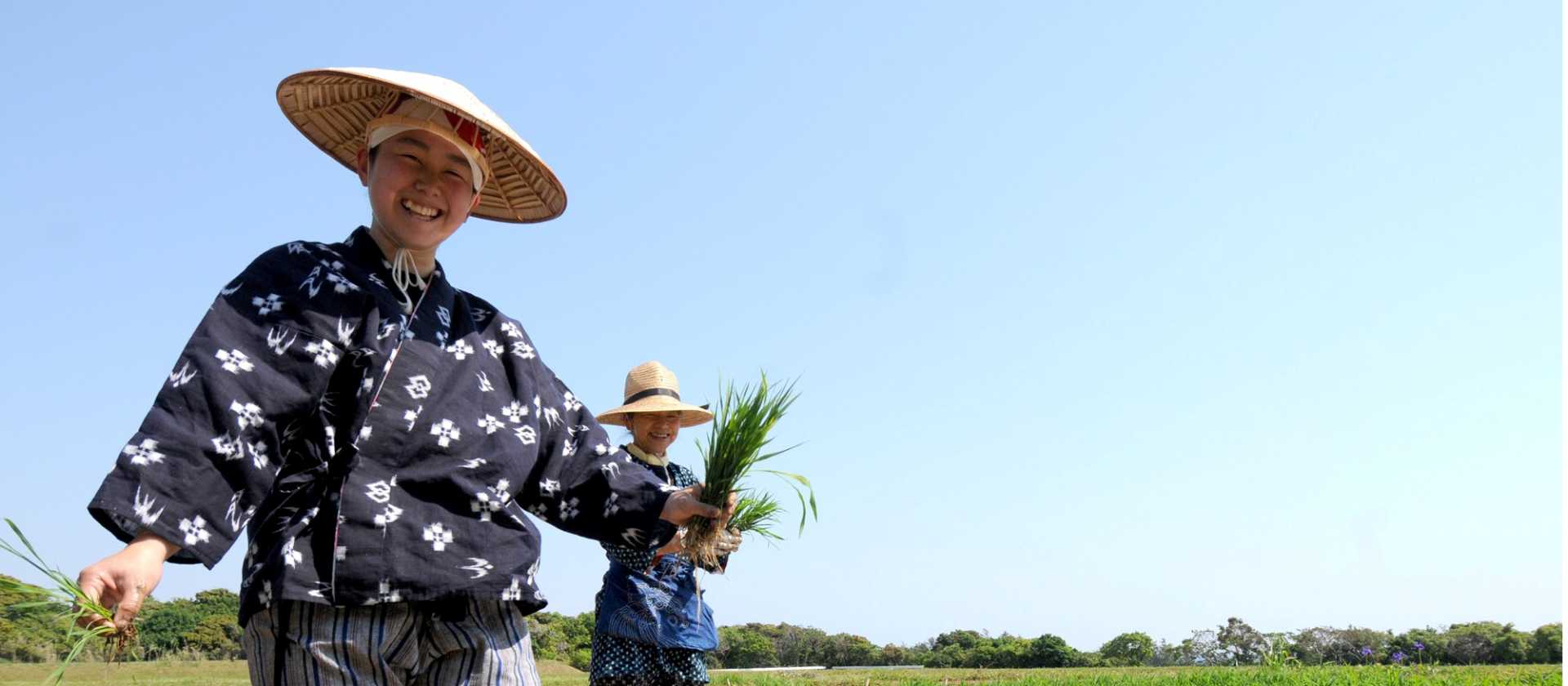 Rice farmers in Japan | Aaron Russ