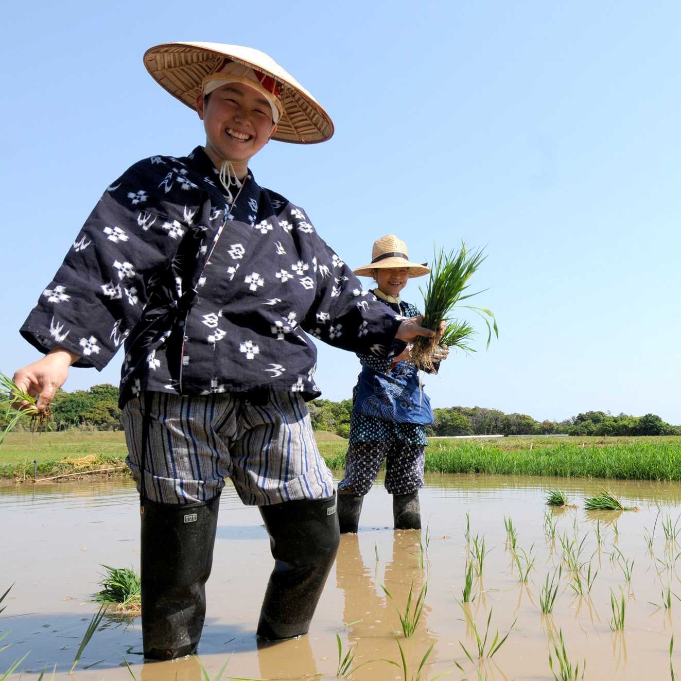 Rice farmers in Japan | Aaron Russ
