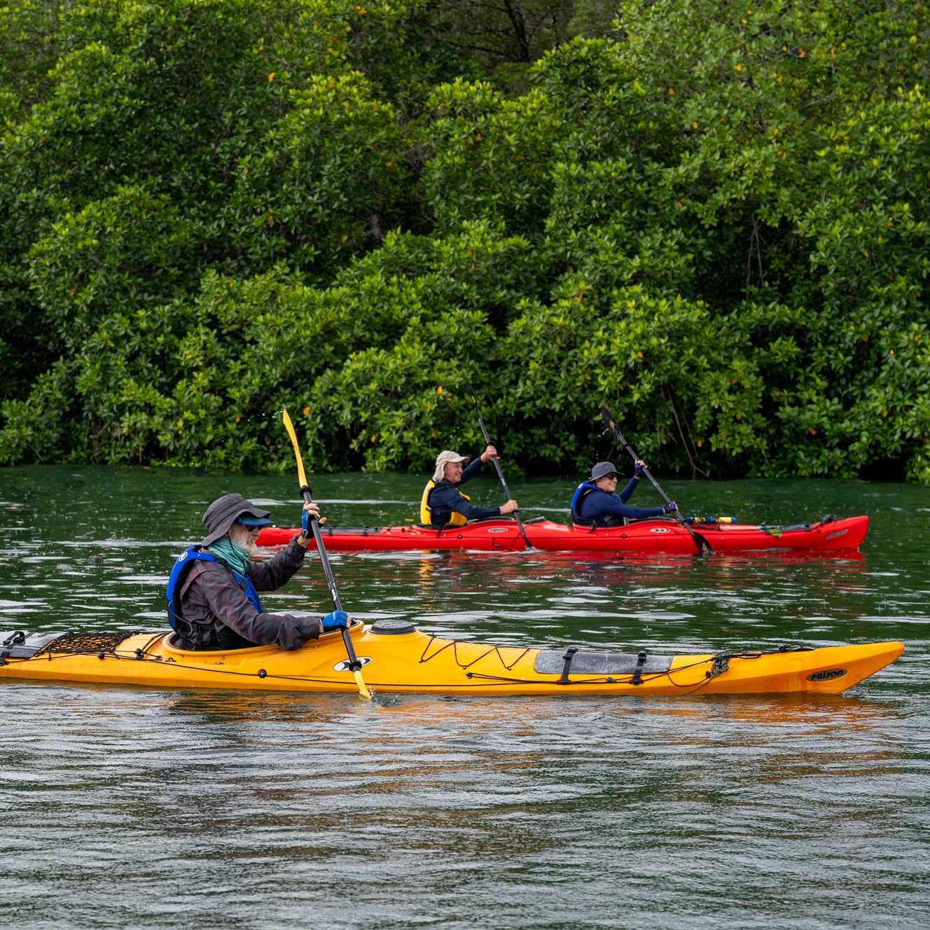 Kayaking in the Solomon Islands | S Bradley