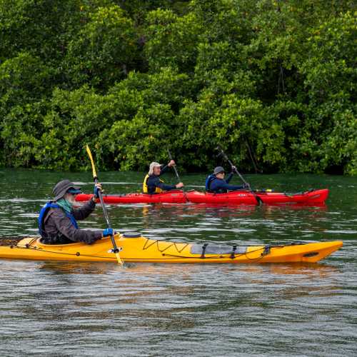Kayaking in the Solomon Islands