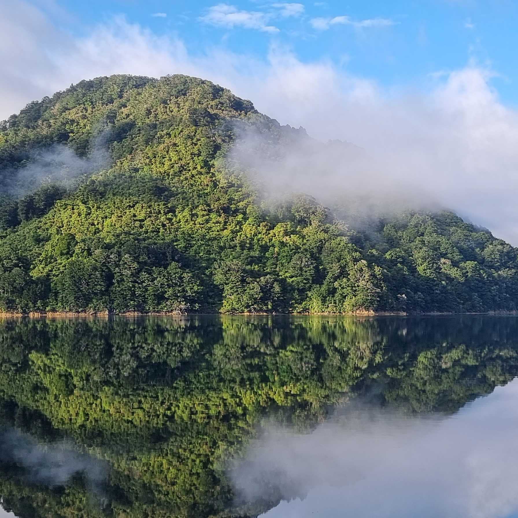 Cruising Marlborough Sounds