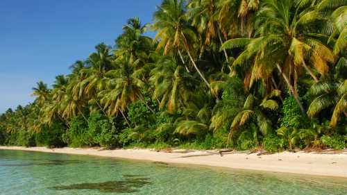 The spectacular beaches of Micronesia | Aaron Russ
