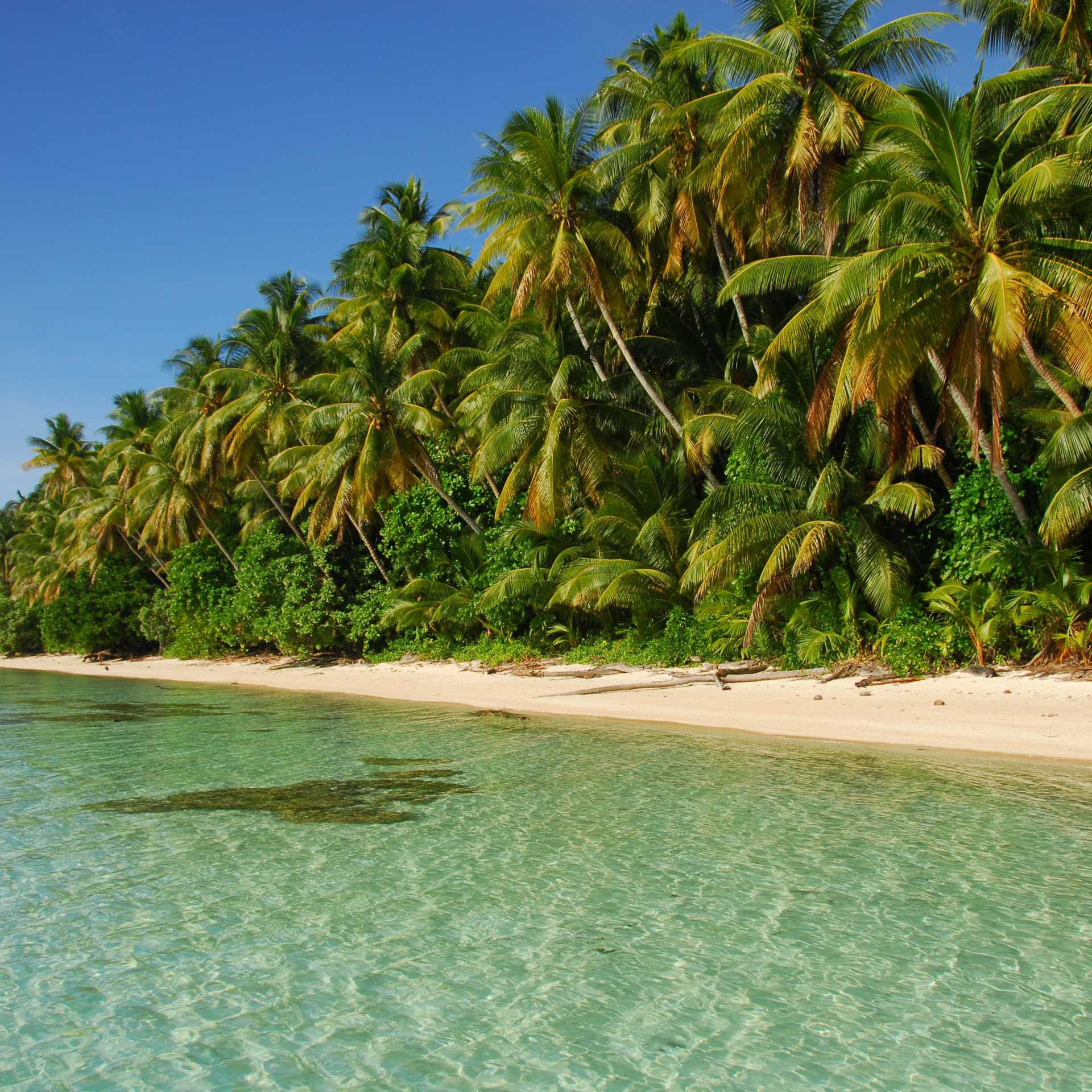 The spectacular beaches of Micronesia | Aaron Russ
