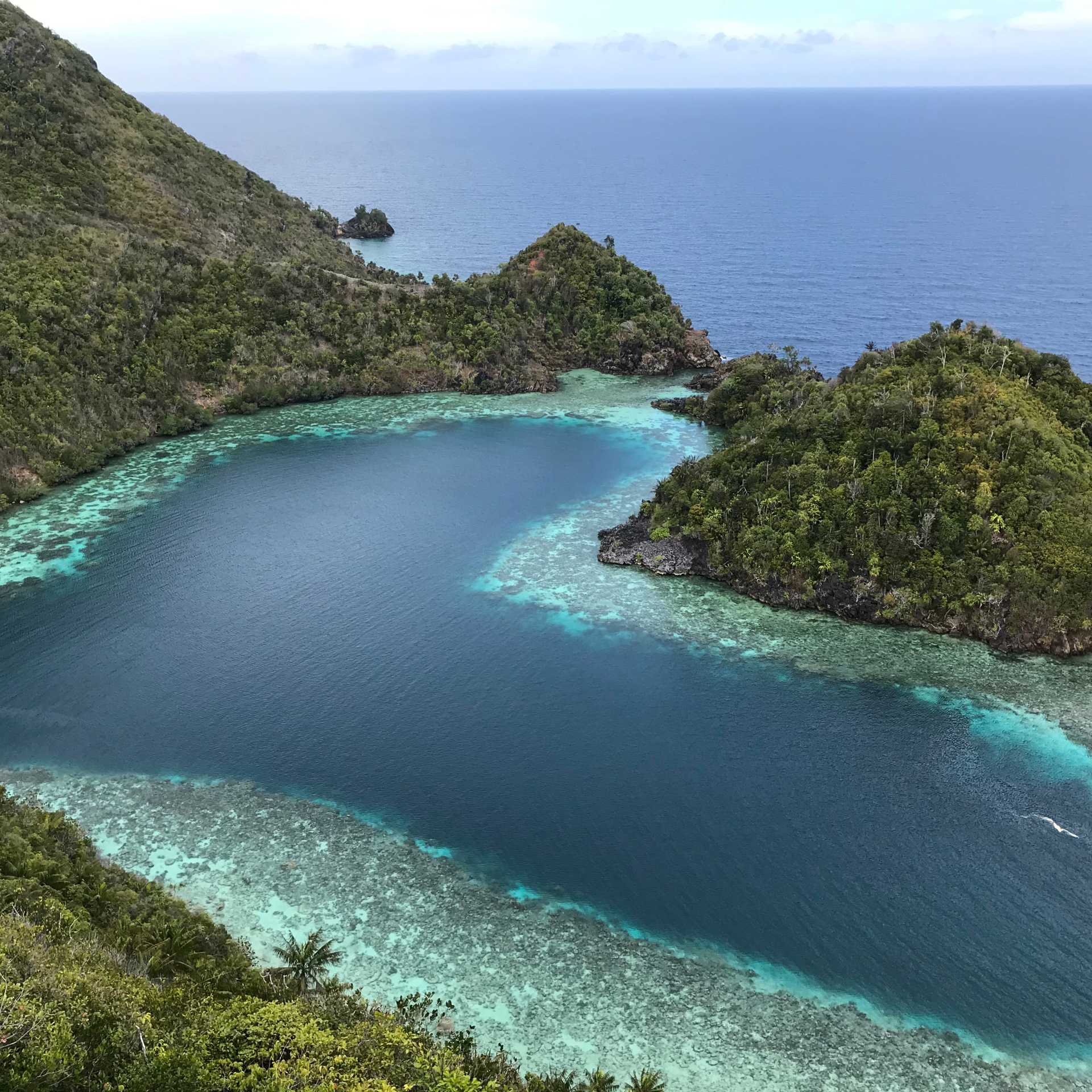 Misool, Raja Ampat | Aaron Russ