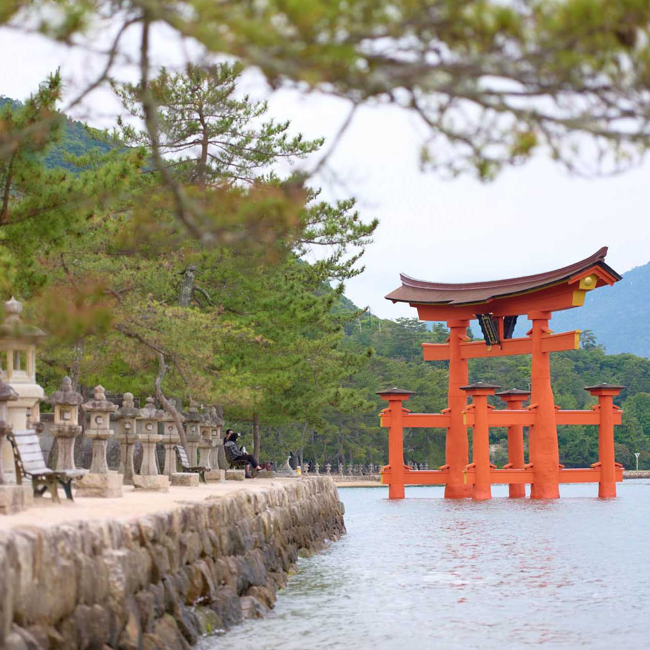 The Torri Gate at Miyajima | Ewen Bell