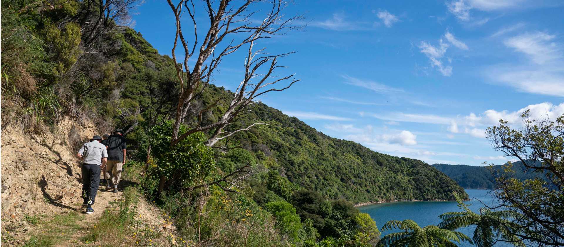 Hiking on Blumine Island | Fiona Wardle