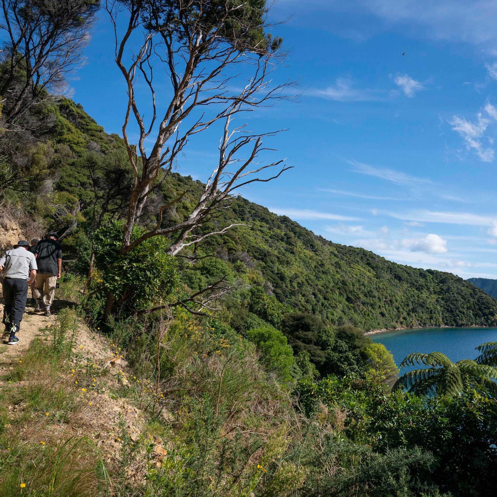 Hiking on Blumine Island | Fiona Wardle