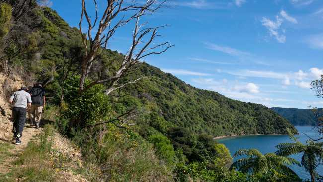 Hiking on Blumine Island | Fiona Wardle