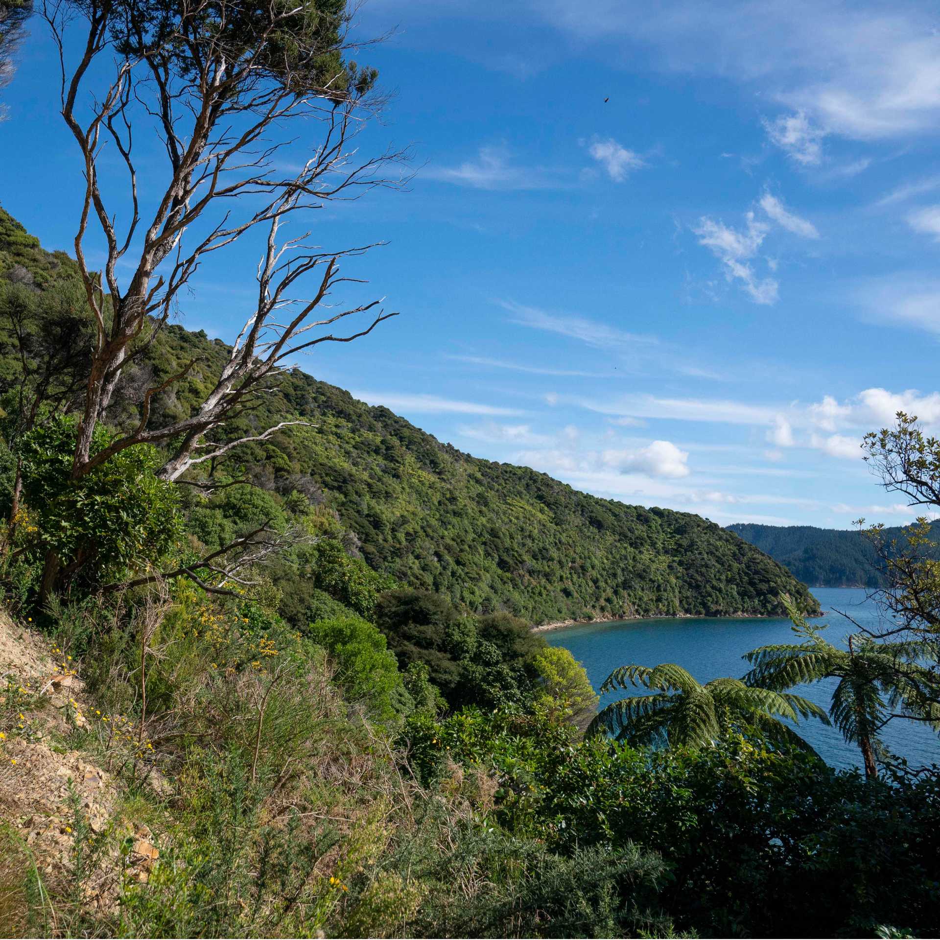 Hiking on Blumine Island | Fiona Wardle