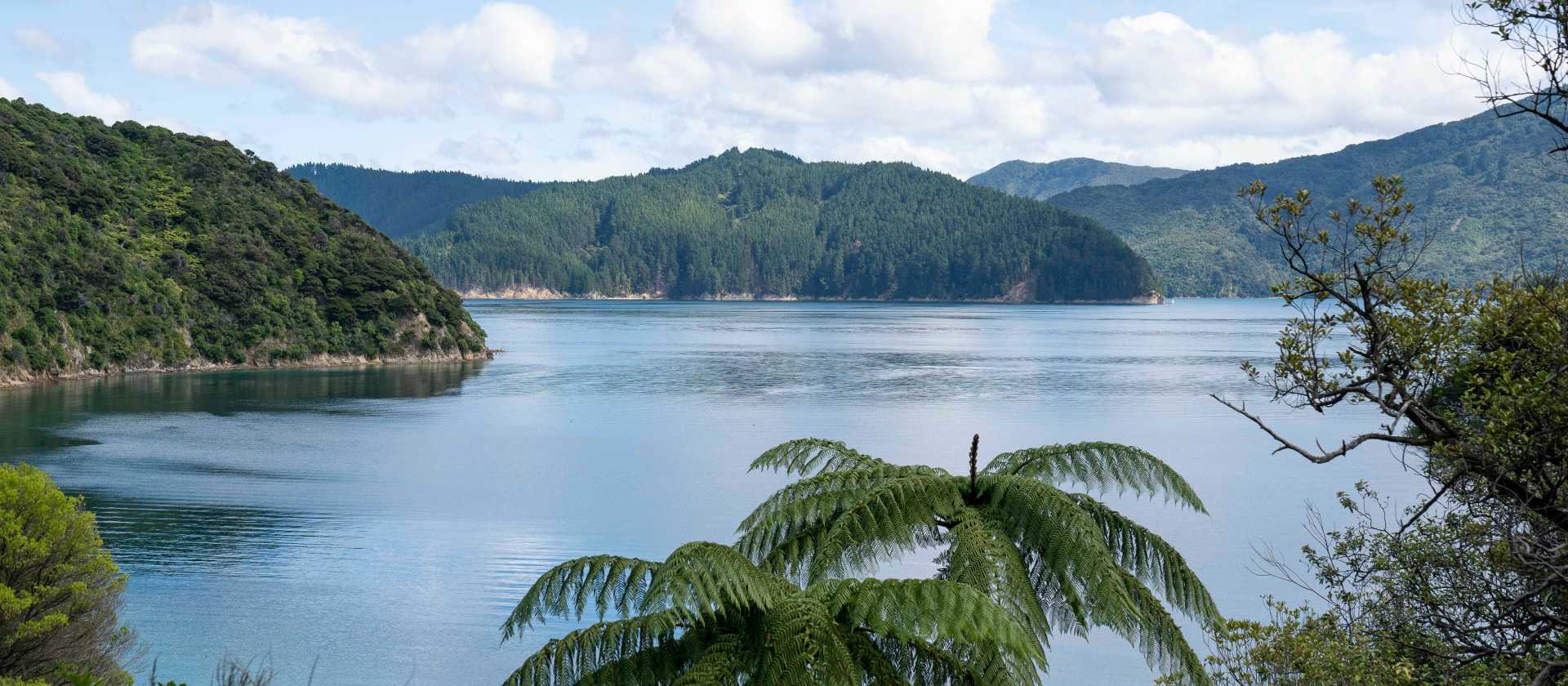 Perano, Blumine viewpoint | Fiona Wardle