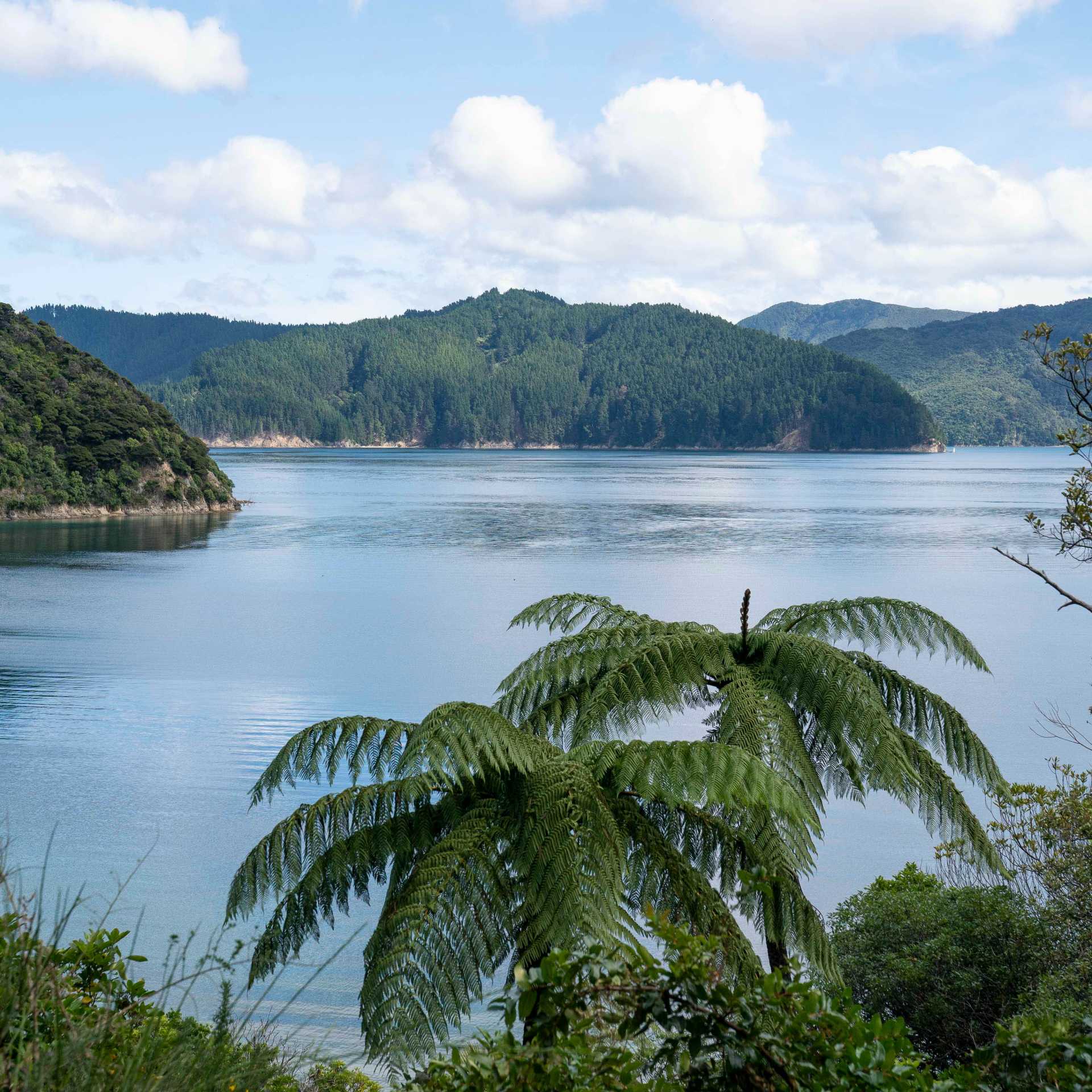 Perano, Blumine viewpoint | Fiona Wardle