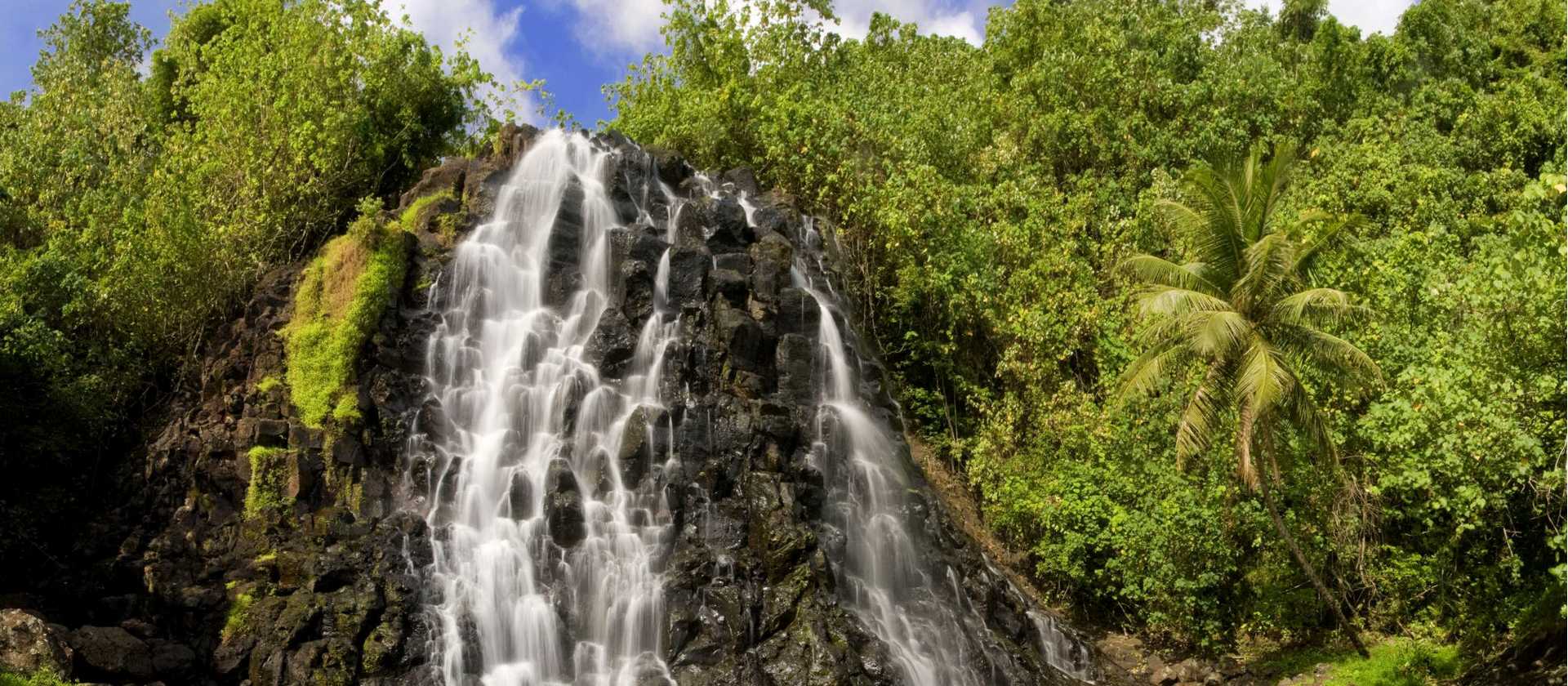 Waterfall in Pohnpei | Greg S