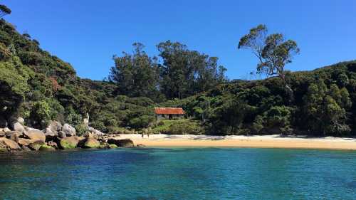 Schoolhouse Bay, Stewart Island | C Todd