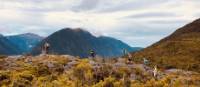 Hiking on Secretary Island, Fiordland | Chris Hill