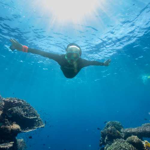 Incredible snorkelling opportunities abound