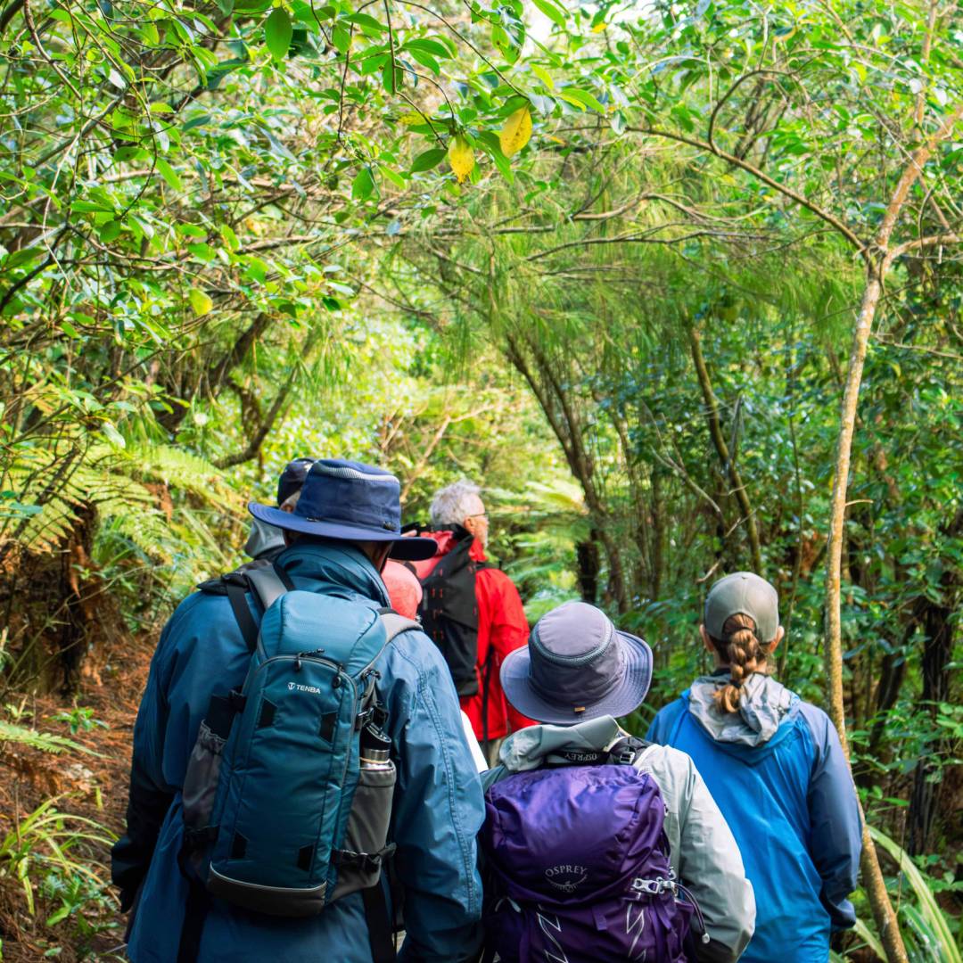 Hiking Ulva Island | S Dunley