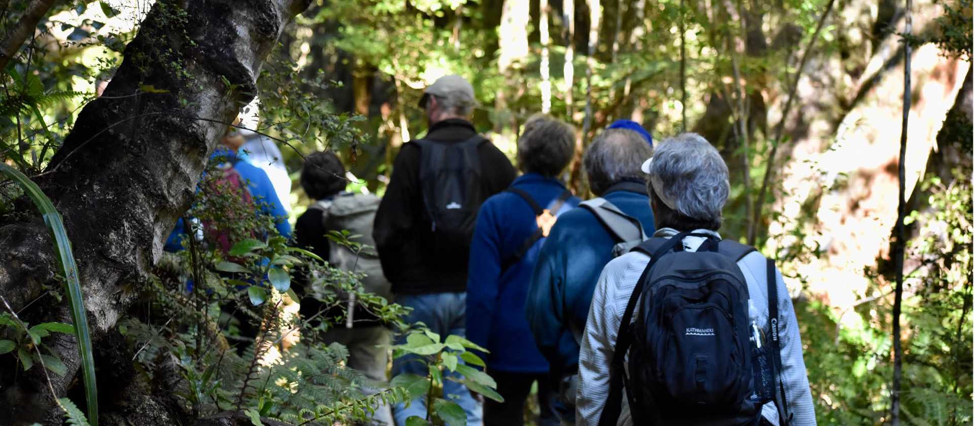 Walking on Ulva Island | H Dohn