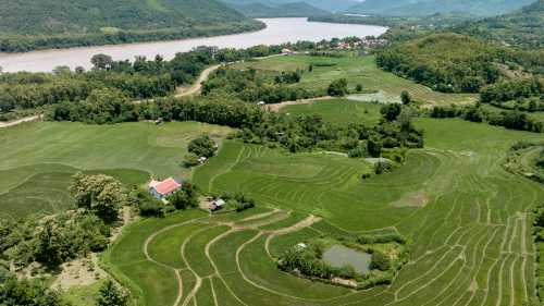 The fertile banks of the Mekong River, Laos