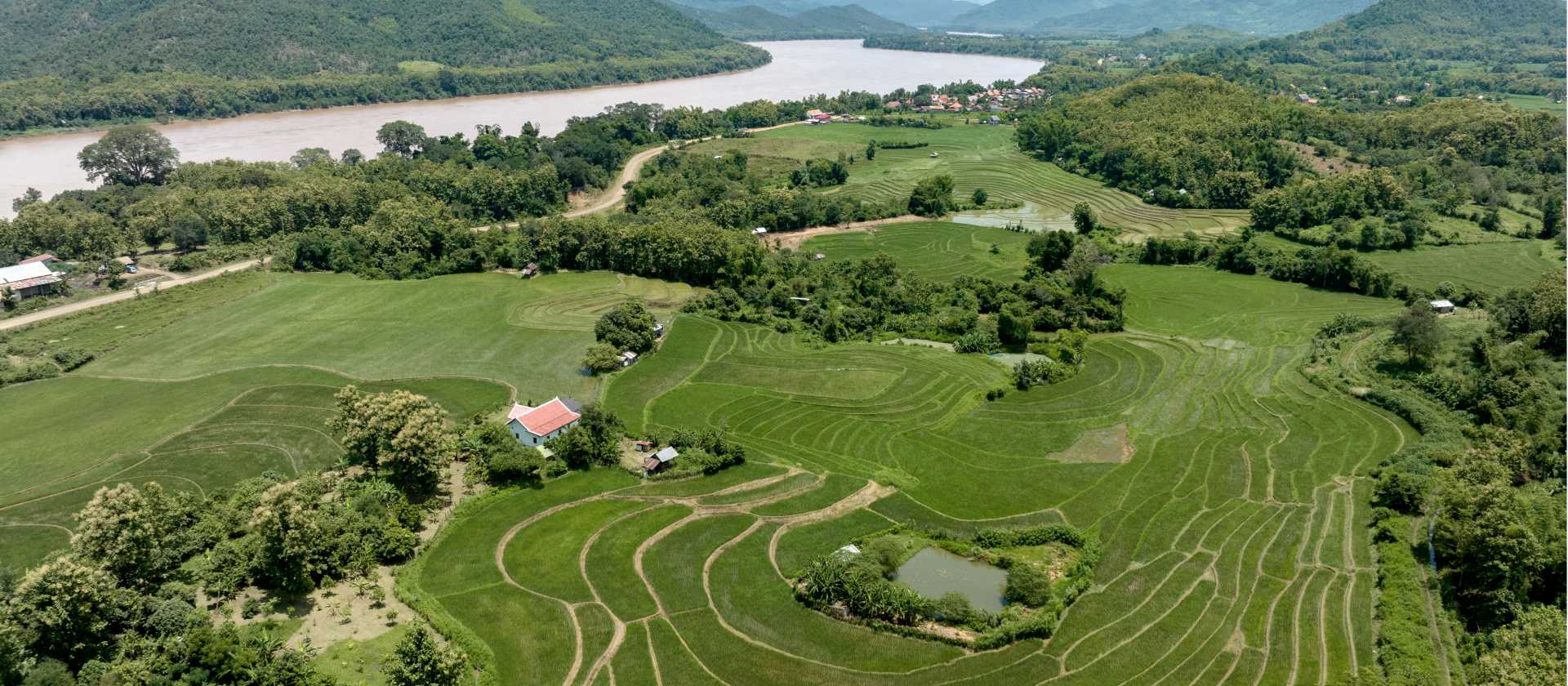 The fertile banks of the Mekong River, Laos