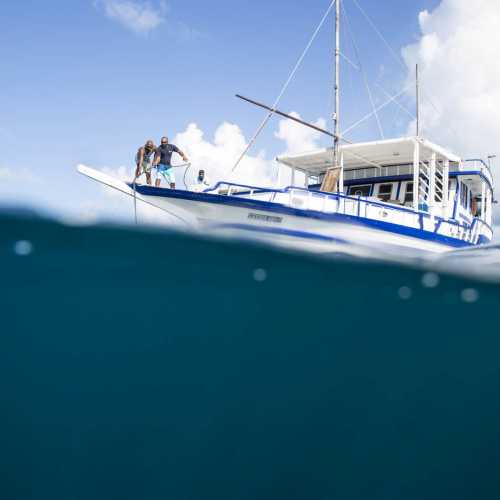 A traditional 'dhoni' sailing the Maldives