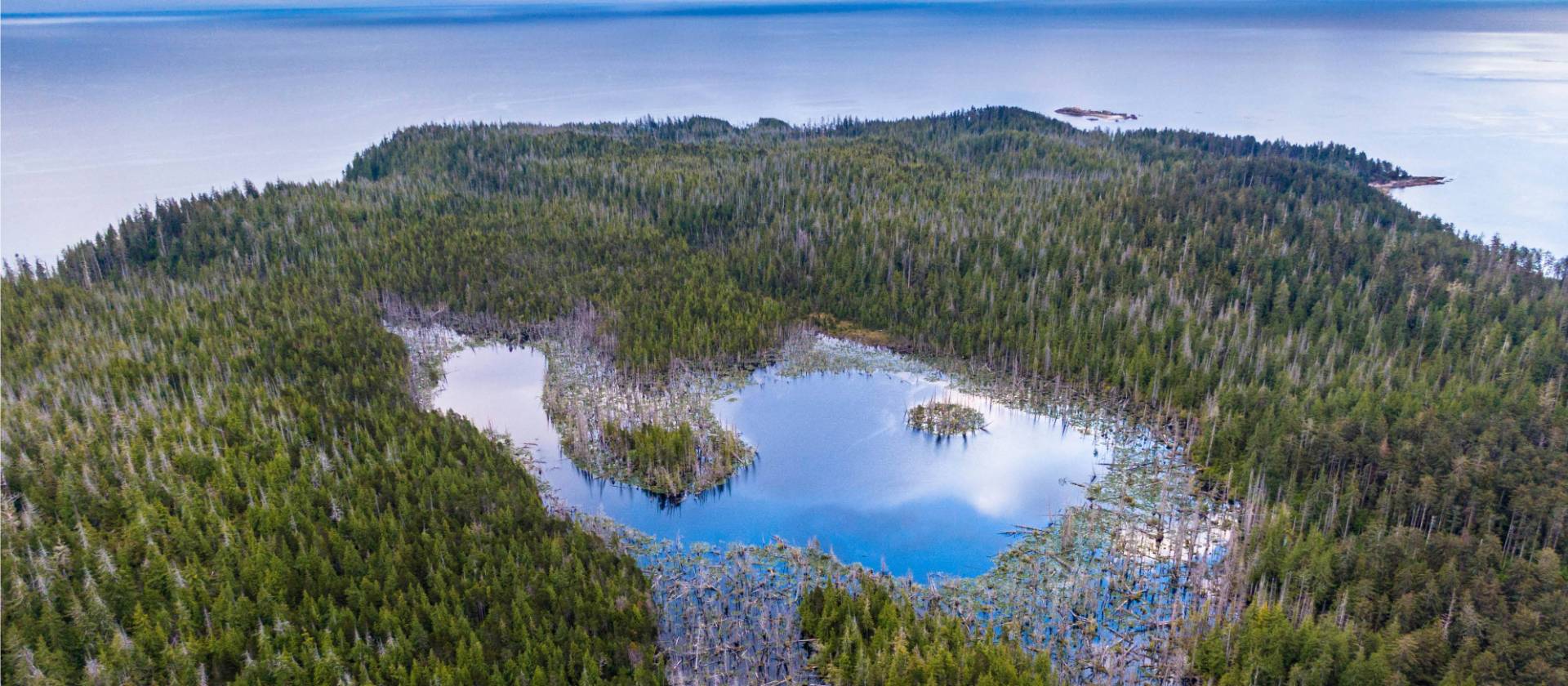 Aerial shot, Haida Gwaii