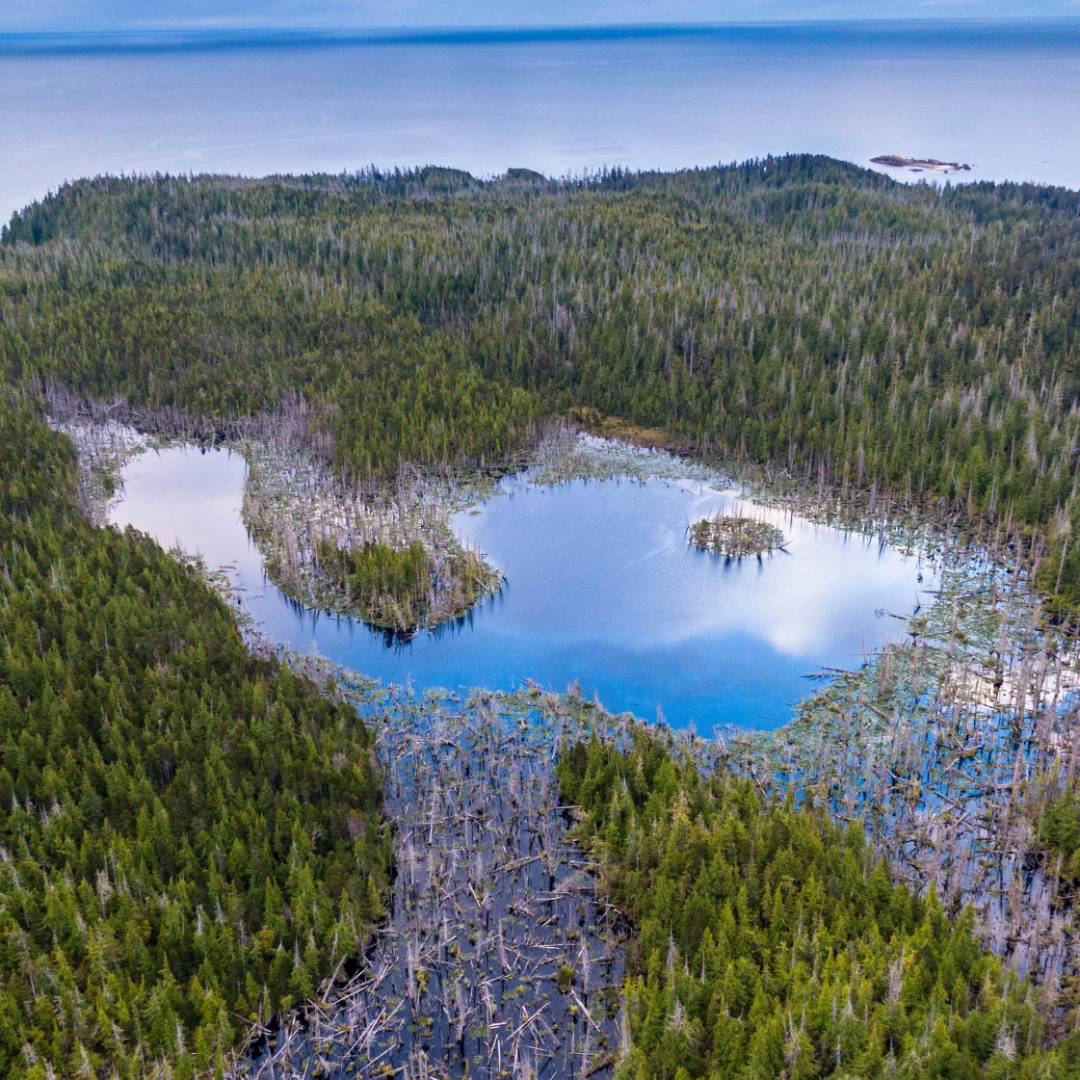 Aerial shot, Haida Gwaii