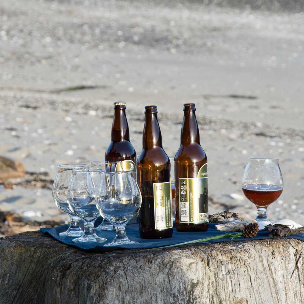 Local craft beers enjoyed during a beachside tasting experience.