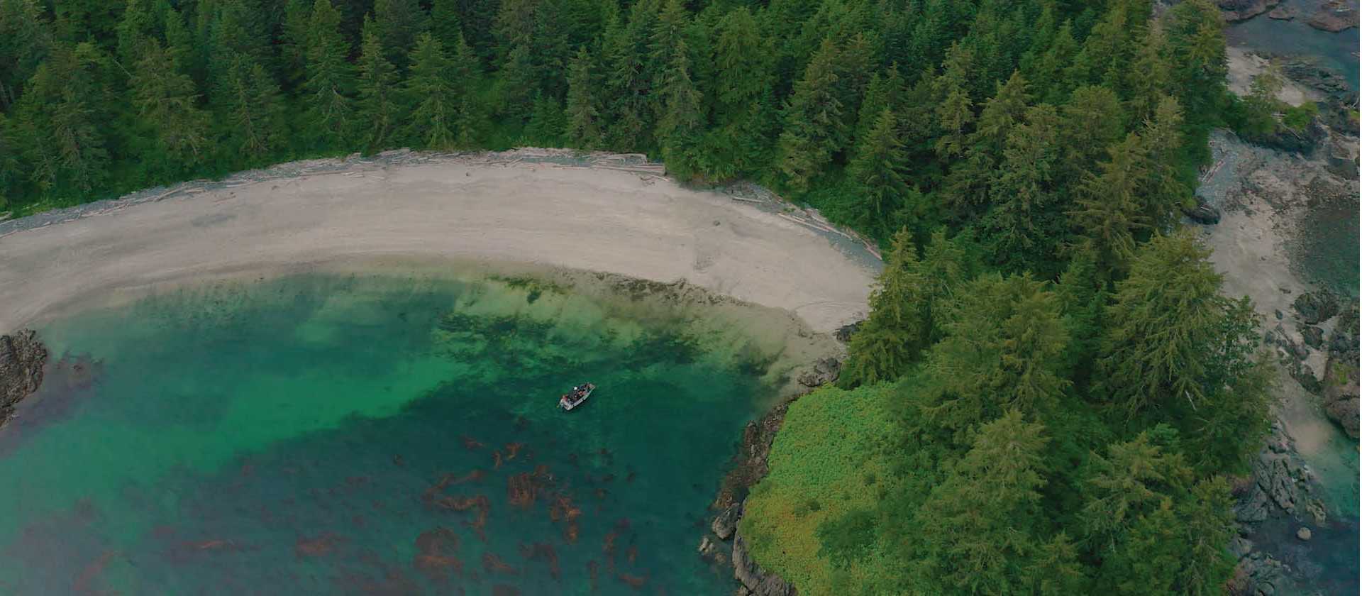 The untouched beauty of Vancouver island