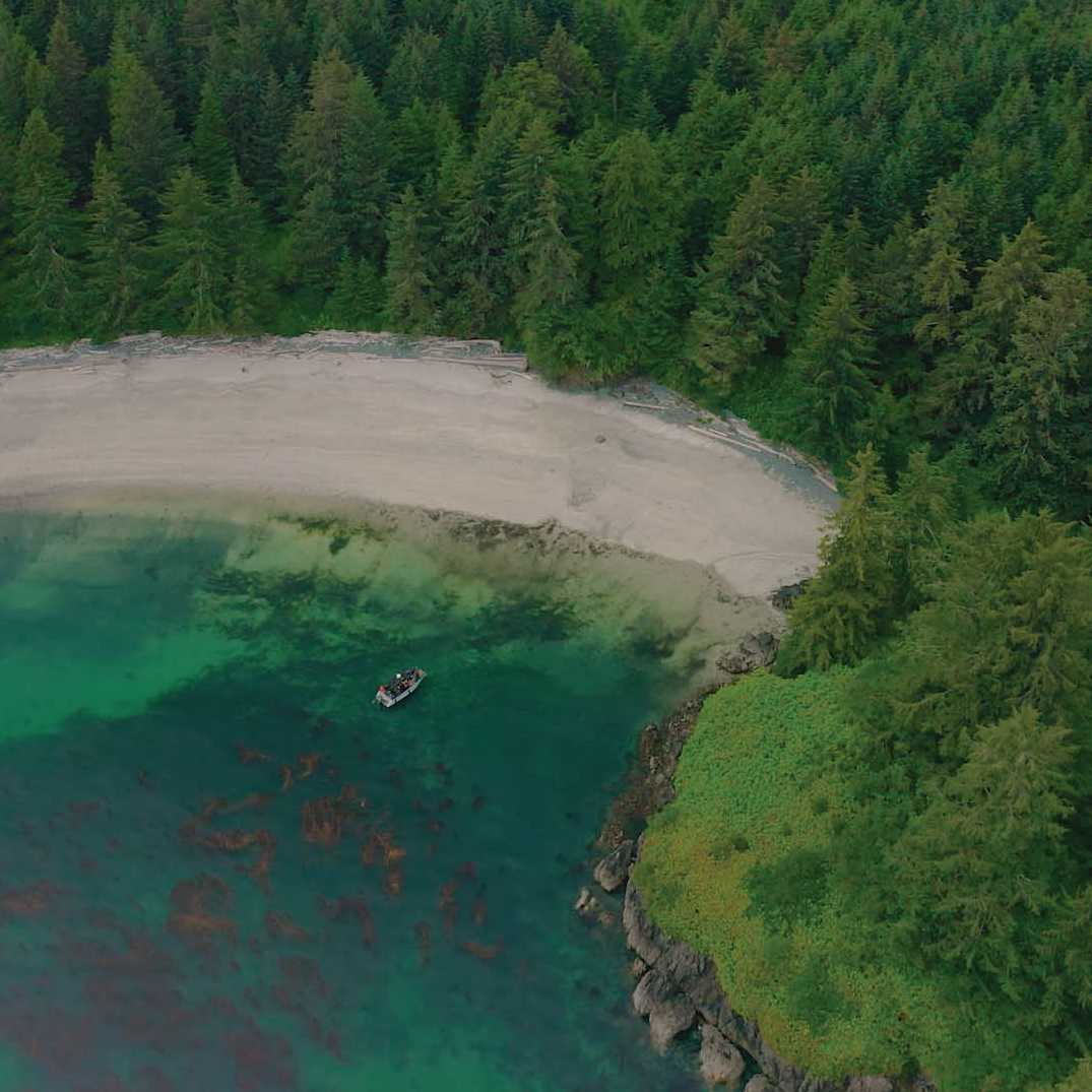 The untouched beauty of Vancouver island