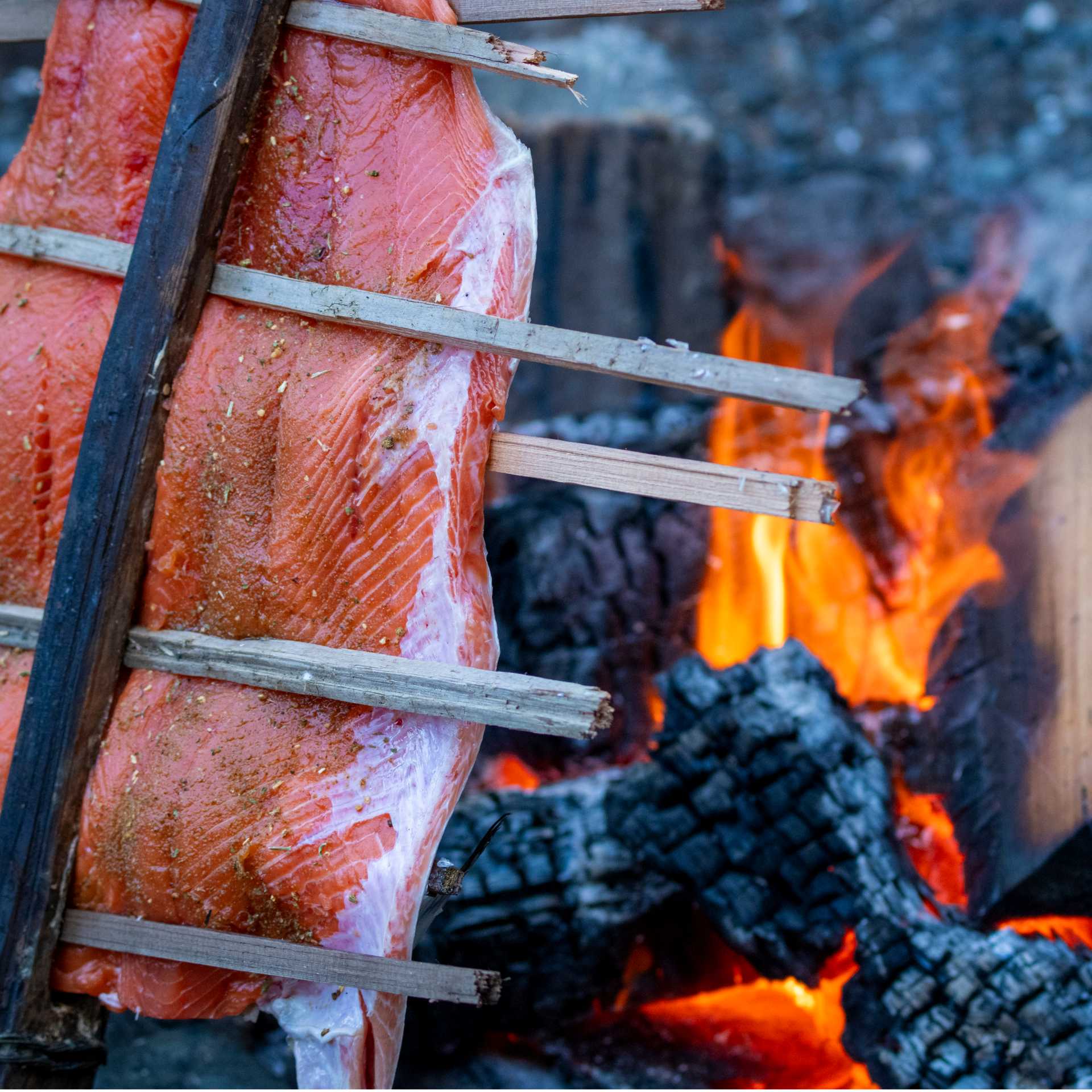 Enjoying the spoils, Vancouver island | Jeffrey Reynolds